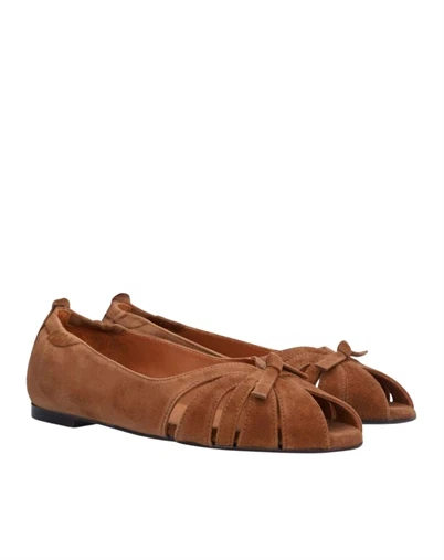 Billi Bi - A9413 Ballerina - Dark Cognac